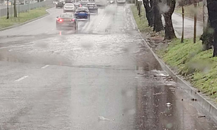 БСП: Един по-продължителен дъжд и улиците на Пловдив отново под вода